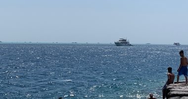 نشاط كبير للرحلات البحرية لجزر البحر الأحمر.. الجفتون الأكثر إقبالا.. لايف وصور