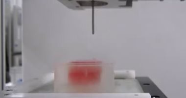 علماء يتمكنون من صنع أول شريحة لحم بواسطة طابعة ثلاثية الأبعاد.. فيديو وصور