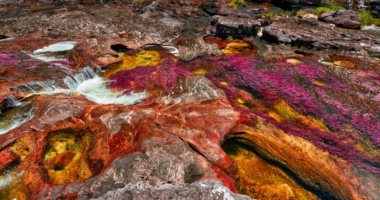 نهر بخمسة ألوان في كولومبيا يجذب السياح لمشاهدة مناظره الخلابة .. صور