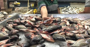 تعرف على أسعار الأسماك في سوق العبور للجملة اليوم الثلاثاء 
