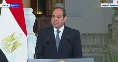 الرئيس السيسي: نثمن العلاقات الخاصة بين مصر وقبرص 