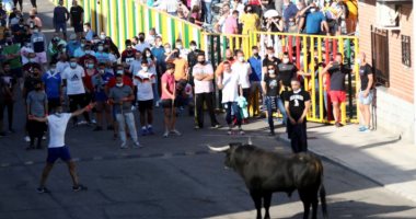 إسبانيا تستضيف أول مهرجان لـ الثيران منذ بداية جائحة كورونا.. صور