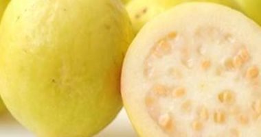 6 فوائد صحية لتناول ثمرة جوافة يوميا.. أبرزها تقوية المناعة