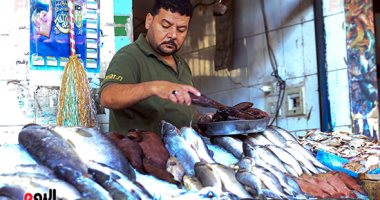 أسعار السمك في سوق العبور للجملة.. البلطي المزارع يتراوح بين 17-25 جنيها للكيلو 
