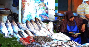 مملكة الفسفور.. البحر واحد والسمك أشكال وألوان فى سوق المنيب