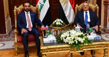 رئيس مجلس الشيوخ يستقبل رئيس النواب العراقى لبحث سبل التعاون.. صور