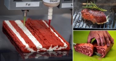هل اللحوم المصنوعة بماكينات الطباعة ثلاثية الأبعاد صحية وآمنة؟