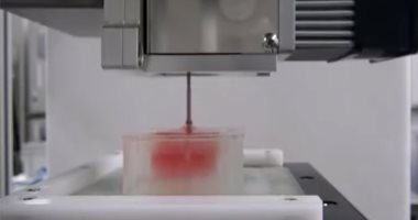 علماء يصنعون شرائح لحم عبر تقنية الطباعة ثلاثية الأبعاد.. القصة الكاملة