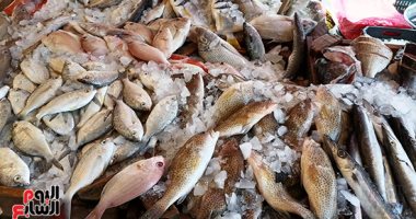جولة داخل أكبر سوق أسماك بالسويس.. تعرف على الأنواع والأسعار.. لايف وصور