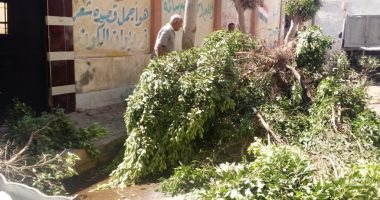 تكثيف أعمال نظافة ورش وتعقيم محيط المدارس بالإسكندرية