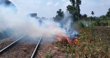 السيطرة على حريق ببوص على شريط السكة الحديد فى المنوفية.. صور