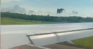 اشتعال محرك طائرة إثر اصطدامها بسرب طيور فى روسيا.. فيديو وصور