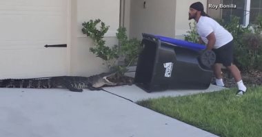 رجل من فلوريدا يستخدم سلة مهملات لاصطياد تمساح ضخم.. فيديو