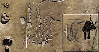 اكتشاف رسم ضخم بالحجارة لـ"ثور" فى سيبيريا عمره 4000 عام.. صور