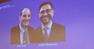 فوز الأمريكيين ديفيد جوليوس وأرديم باتابوتيان بجائزة نوبل للطب 2021