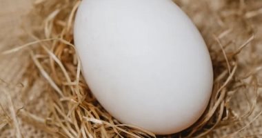 ارتفاع أسعار البيض فى فرنسا 69% بسبب التضخم وأنفلونزا الطيور