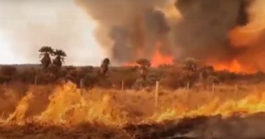 النار تلتهم كل شىء.. مشاهد مفزعة من حرائق الغابات فى الأرجنتين.. فيديو وصور