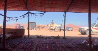 أهالى سيناء ينصبون خيمة استقبال لضيوف سباق الهجن بشرم الشيخ.. فيديو وصور