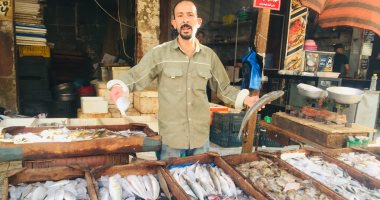 "رزق البحر" فى أسواق الإسماعيلية.. اعرف أسعار الشخرم والبربونى والحفار فى سوق السمك.. لايف