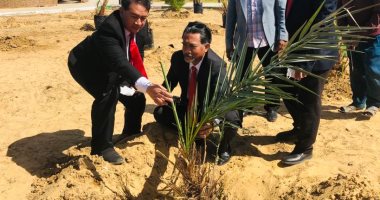 سفيرا إندونيسيا والمغرب يزرعان شجر النخيل في الوادي الجديد