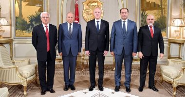 الرئيس التونسى: نتمسك بمبادئ الديمقراطية ونرفض التدخل بشئوننا الداخلية