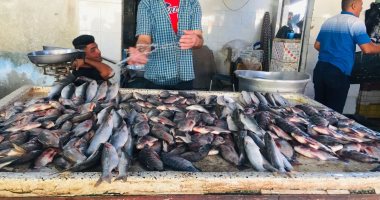 أسعار الأسماك بسوق العبور اليوم السبت.. البلطى مزارع يتراوح بين 17- 26 جنيها