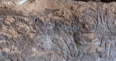 علماء الآثار يكتشفون نقوشا حجرية تعود إلى العصر الحجرى بتركيا