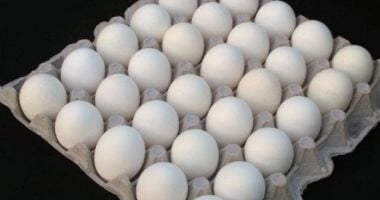 ضخ كمية كبيرة من البيض في المجمعات الاستهلاكية بسعر 49 جنيها للكرتونة