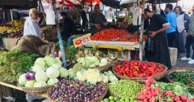 أسعار الخضروات في سوق الجملة.. انخفاض الفاصوليا لتتراوح بين 5- 7جنيهات للكيلو 