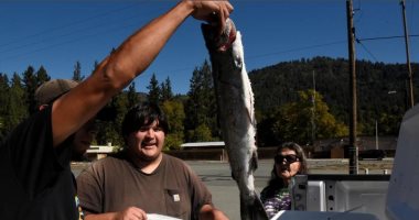 إنقاذ الأسماك.. جفاف بحيرات كاليفورنيا يهدد باختفاء سمك السلمون