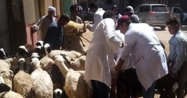 "بحوث الصحراء" ومنظمة التنمية الزراعية ينفذان قوافل بيطرية بوادى فيران