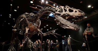 الديناصورات نجوم المزادات العالمية رغم انقراضها.. بيع أكبر ديناصور مقابل 6.6 مليون يورو فى باريس.. عرض هيكل عظمى لديناصور" ثيروبودا" بـ 2.2 مليون دولار ببرج إيفل.. وسعر"ألوصور" يصل إلى 3 ملايين يورو