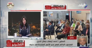 سفير مصر بالأمم المتحدة: إشادة كبيرة بما حققته مصر بملف المرأة