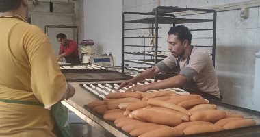 تفاصيل مبادرة الشرقية "خبز جيد و بسعر مدعم".. ورغيف الفينو بـ 40 قرش.. لايف وصور