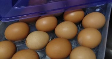 طبيبة بيطرية تحذر من غسيل البيض قبل حفظه فى الثلاجة