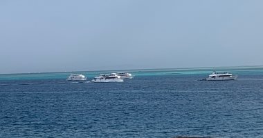 مد وقف ترخيص مراكز الغوص واليخوت بجنوب سيناء والبحر الأحمر لمدة 6 أشهر