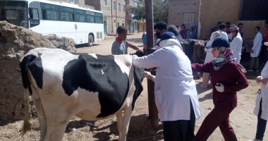 جامعة سوهاج تواصل سلسلة قوافلها البيطرية المجانية لقرية الغريزات بالمراغة.. صور