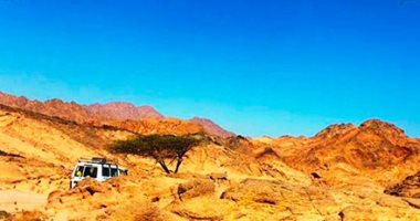 السحر والجمال.. "محمية نبق" بجنوب سيناء لوحة طبيعية تجذب عشاق الصحراء