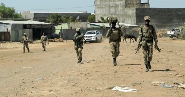العربية: قوات تيجراى تقترب من السيطرة على مدينة تبعد 130 كيلو عن أديس أبابا