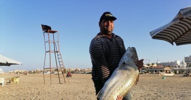 فرحة كبيرة بعد سقوط سمكة "لاج" في شباك صيادين بورسعيد.. صور