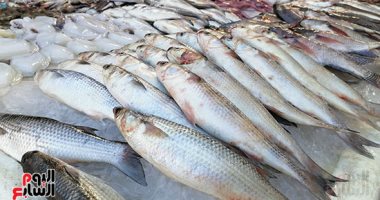 أسعار الأسماك فى السوق اليوم الاثنين 8 نوفمبر 2021
