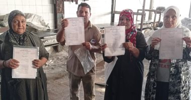 "القوى العاملة "بالإسكندرية: حصر وتسجيل 5741 عاملا جديدا ضمن العمالة غير المنتظمة