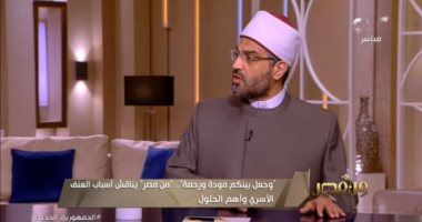أمين الفتوى بدار الإفتاء يعدد أسباب العنف الزوجى.. فيديو