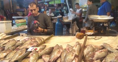 الكيلو بـ10 جنيهات.. حكاية أرخص سمكة فى سوق الإسكندرية وفوائدها.. فيديو وصور