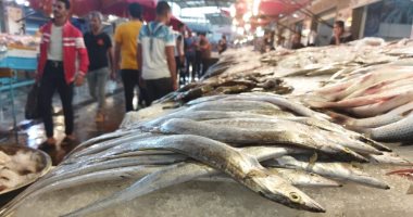 الكيلو ب 40 جنيها.. شاهد رحلة "السيوف" من أعماق البحر لسوق السمك ببورسعيد