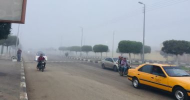 خلى بالك من الشبورة.. حالة الطقس وحركة المرور بطريق إسكندرية الزراعى.. لايف