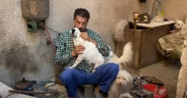 "عم فارس صاحب الكلاب" يتقاسم معها الطعام منذ 23 عاما ويحزن لفراقها.. فيديو