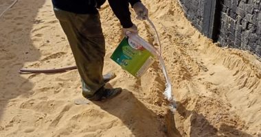"زراعة الإسكندرية": تواصل مواجهة النمل الأبيض بالمبيدات بأحد المدارس غرب المحافظة