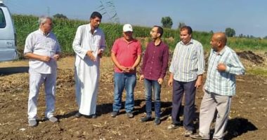 زراعة كفرالشيخ: متابعة وتجهيز الحقول الإرشادية لمحصول القمح