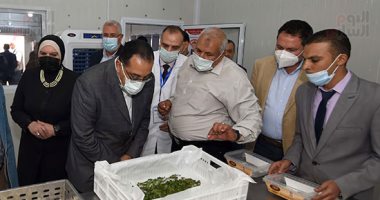 رئيس الوزراء يوجه بتوطين صناعة الحرير وإعداد خطة متكاملة لإنتاجه من دودة القز